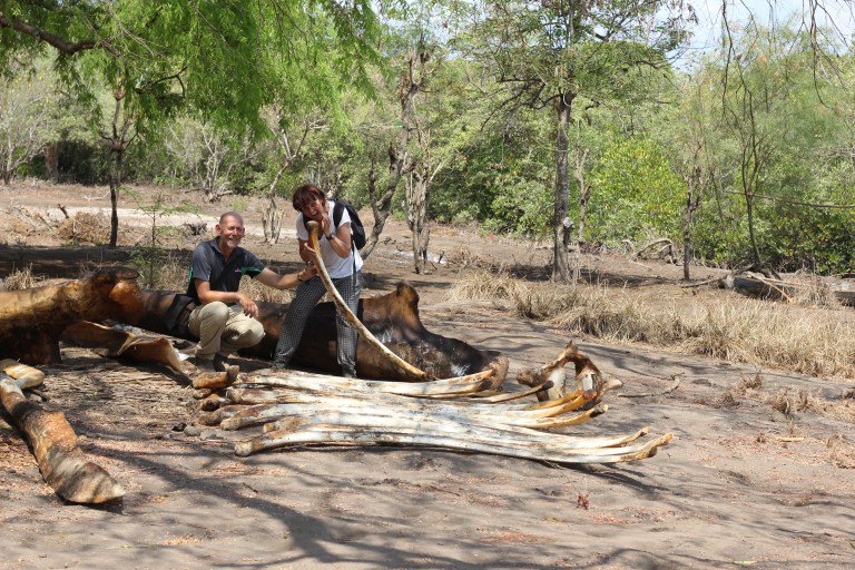 Finishing off the feast!