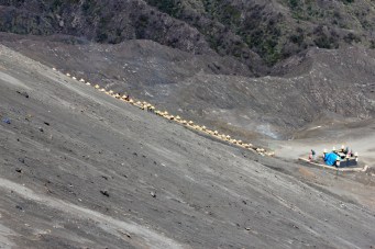 Steps up to the vent