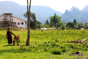 Watchtower in background. One of 3 wives.