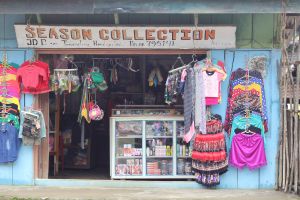 This seasons collection. Bloomers?