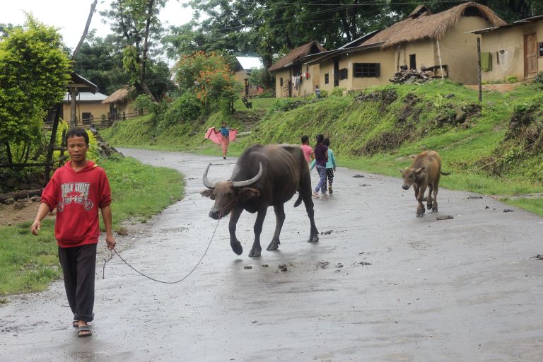 A typical afternoon in the streets of Govajang