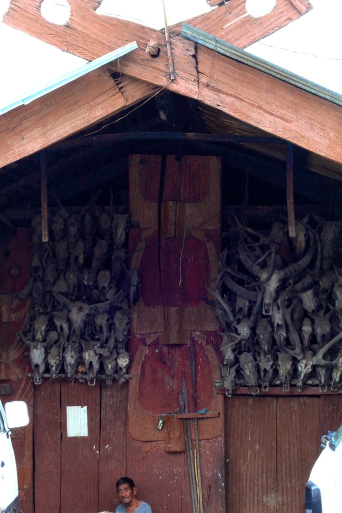 Many Mitun have been sacrificed in this house