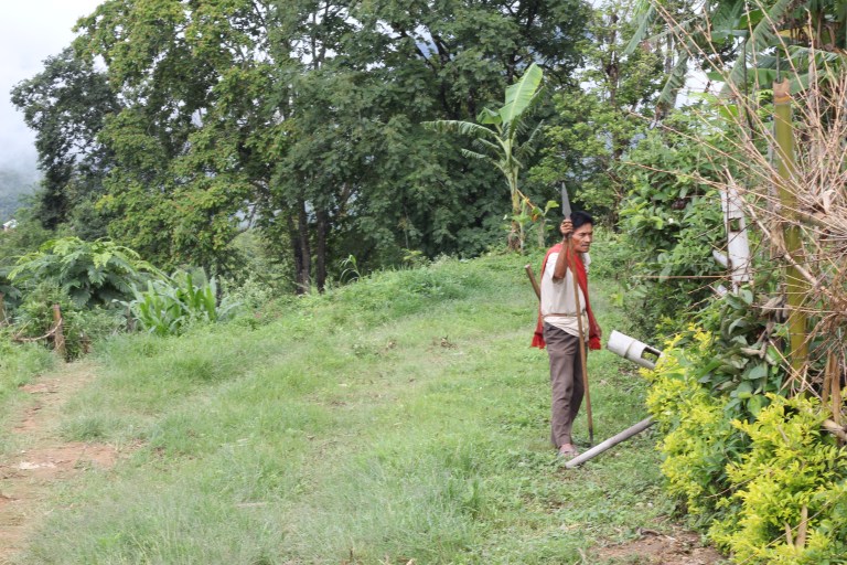 Tigers, bears and wild boar? Maybe a head?